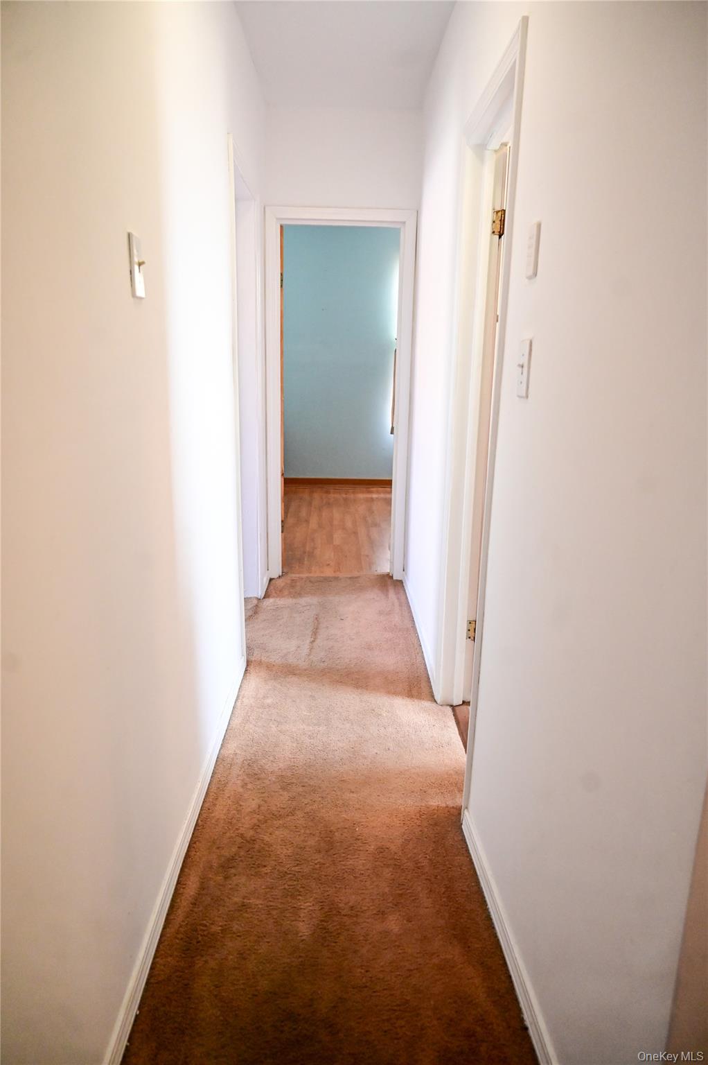 16038 111th Avenue Property Photo 9