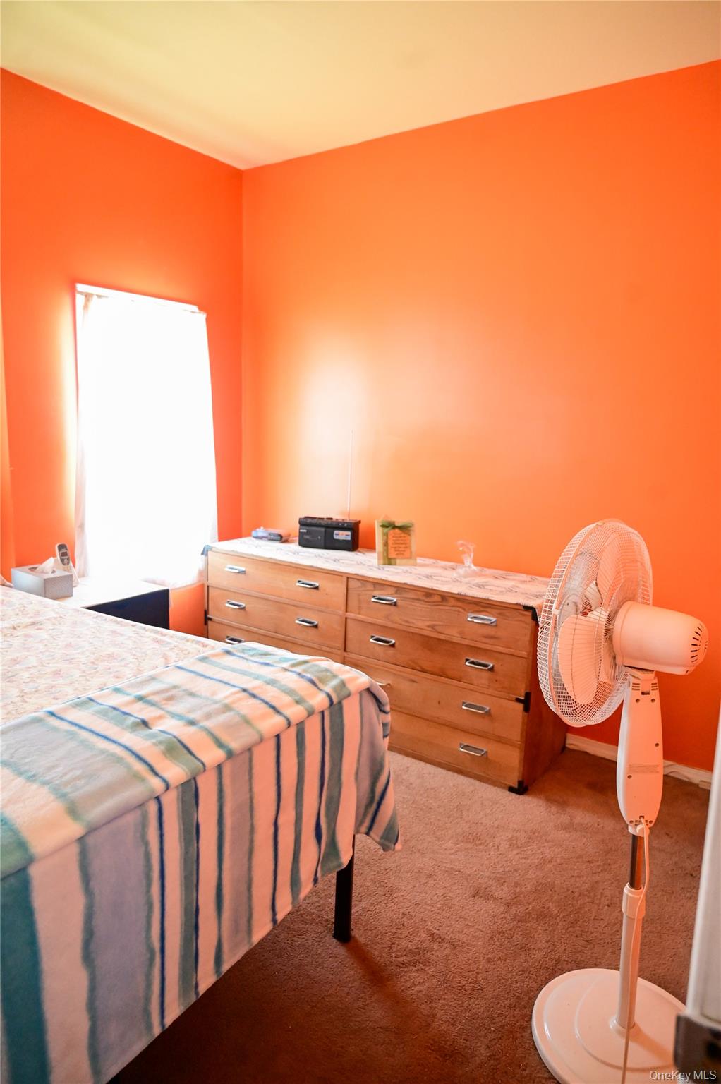 16038 111th Avenue Property Photo 11