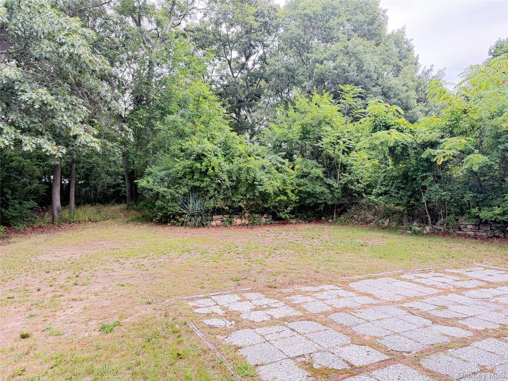 49 Midvale Avenue Property Photo 15