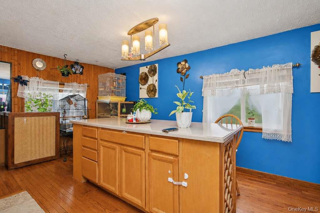 13 Ogden Street Property Photo 5