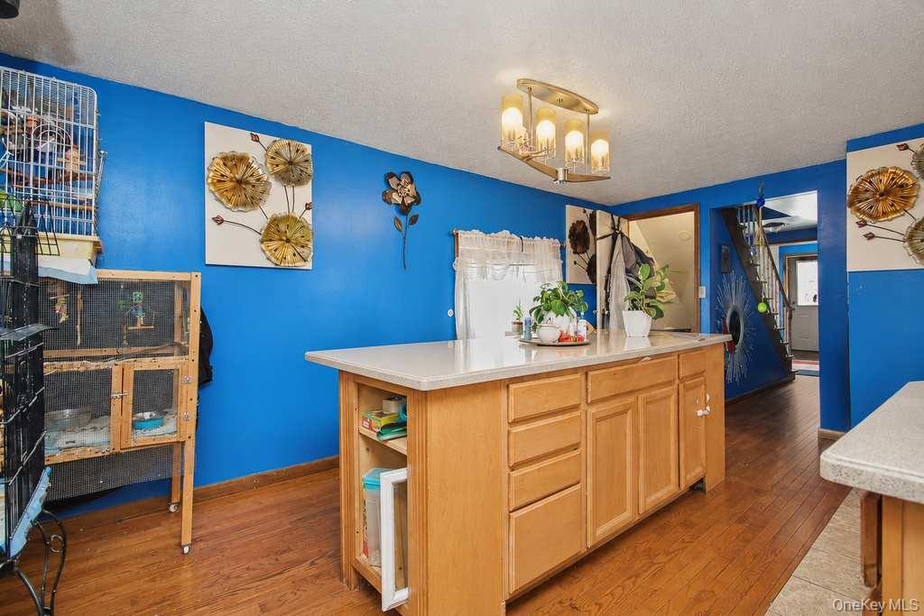 13 Ogden Street Property Photo 6