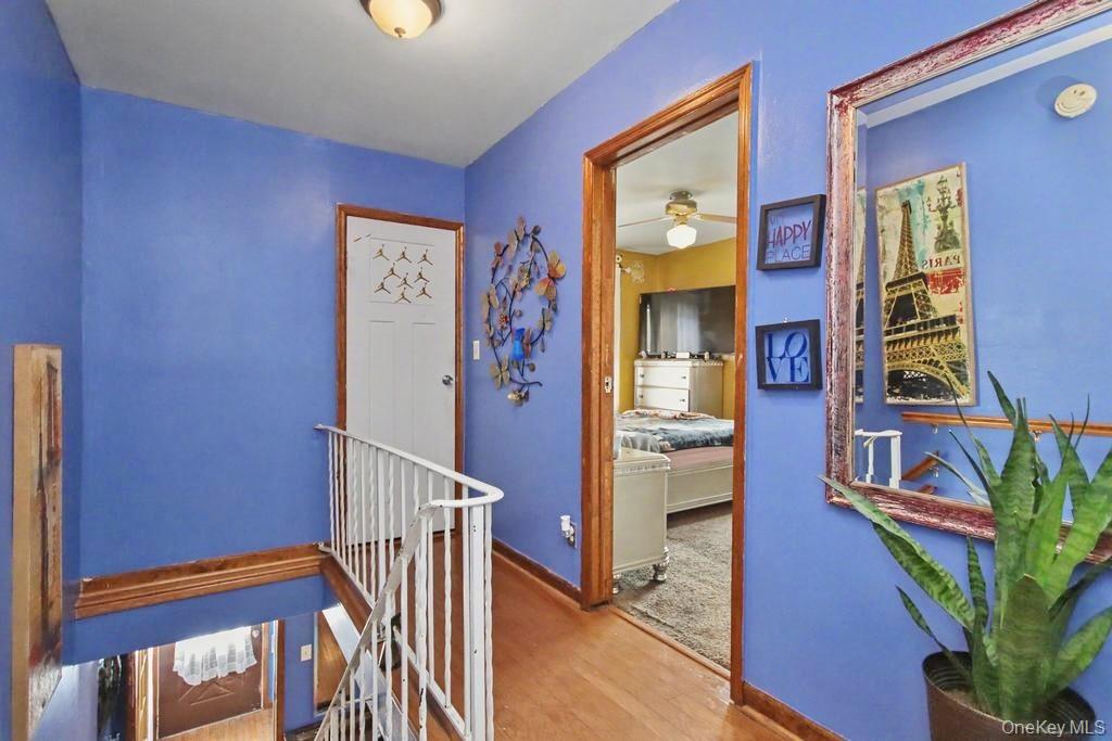 13 Ogden Street Property Photo 18