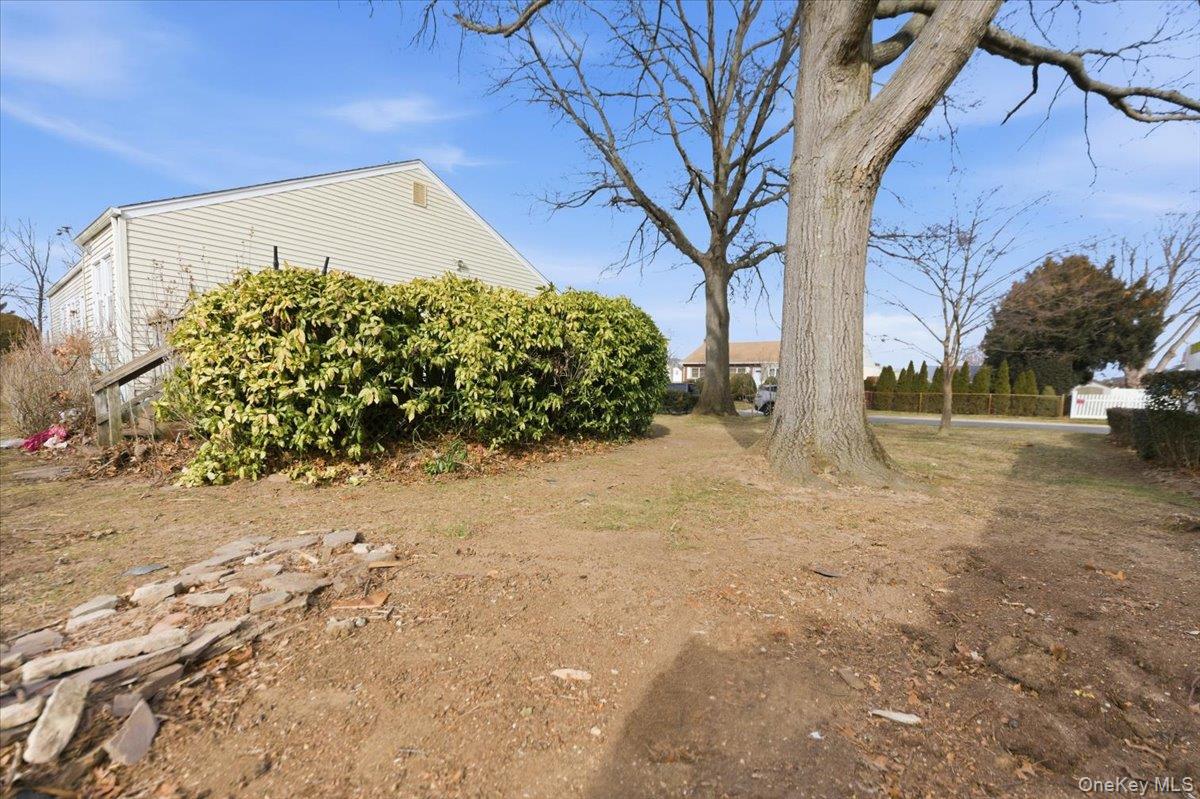 2 Mcleod Street Property Photo 14