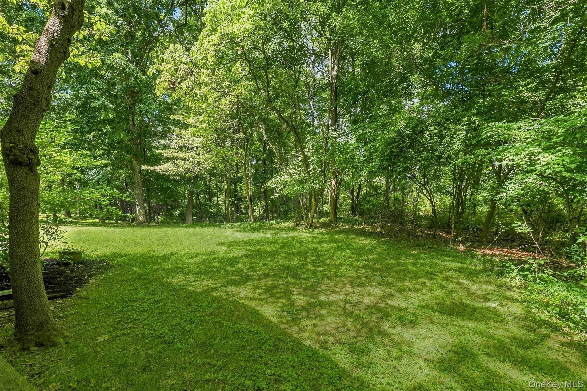 75 Pleasant Ridge Drive Property Photo 39