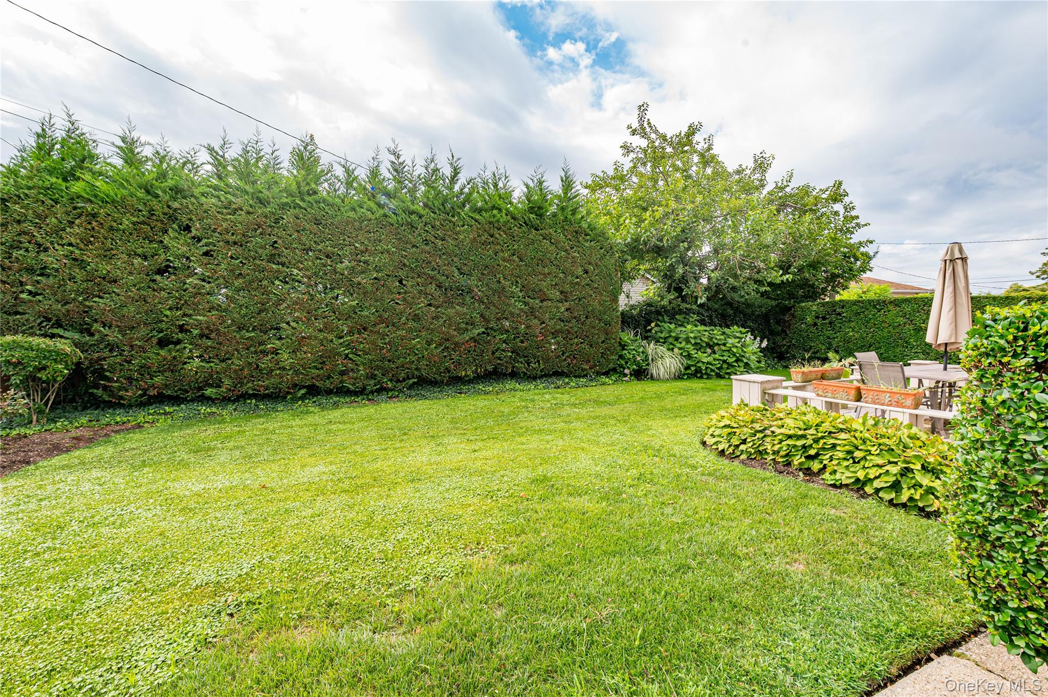 14 Westmoreland Road Property Photo 5