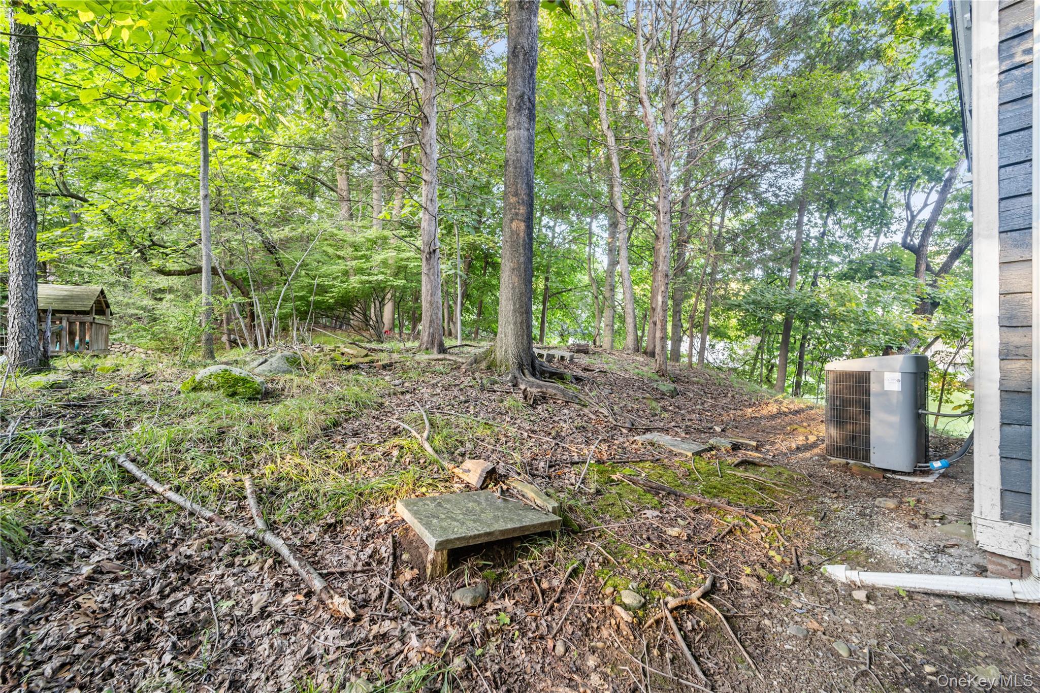 697 S Mountain Road Property Photo 27