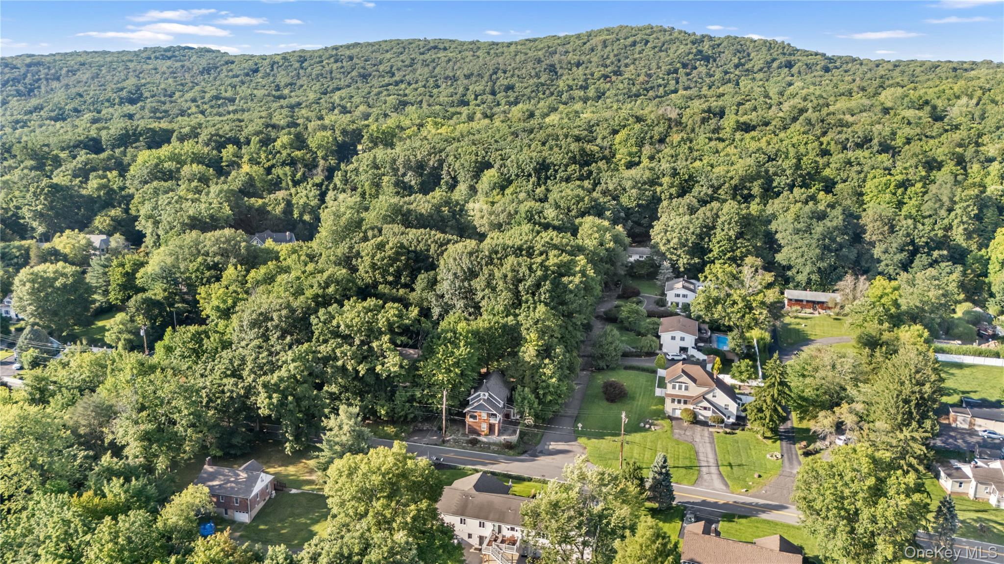697 S Mountain Road Property Photo 35