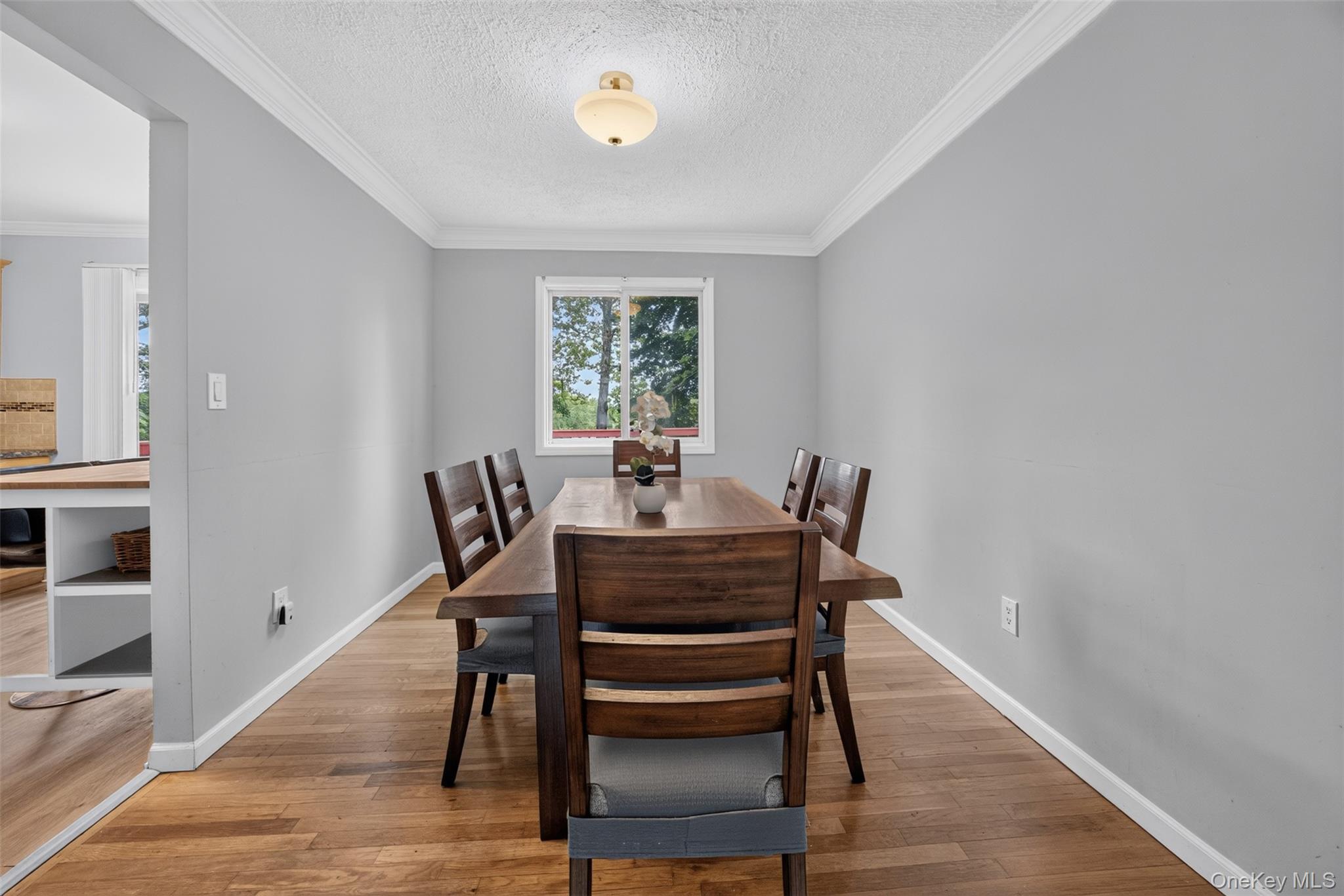 32 Surrey Road Property Photo 9