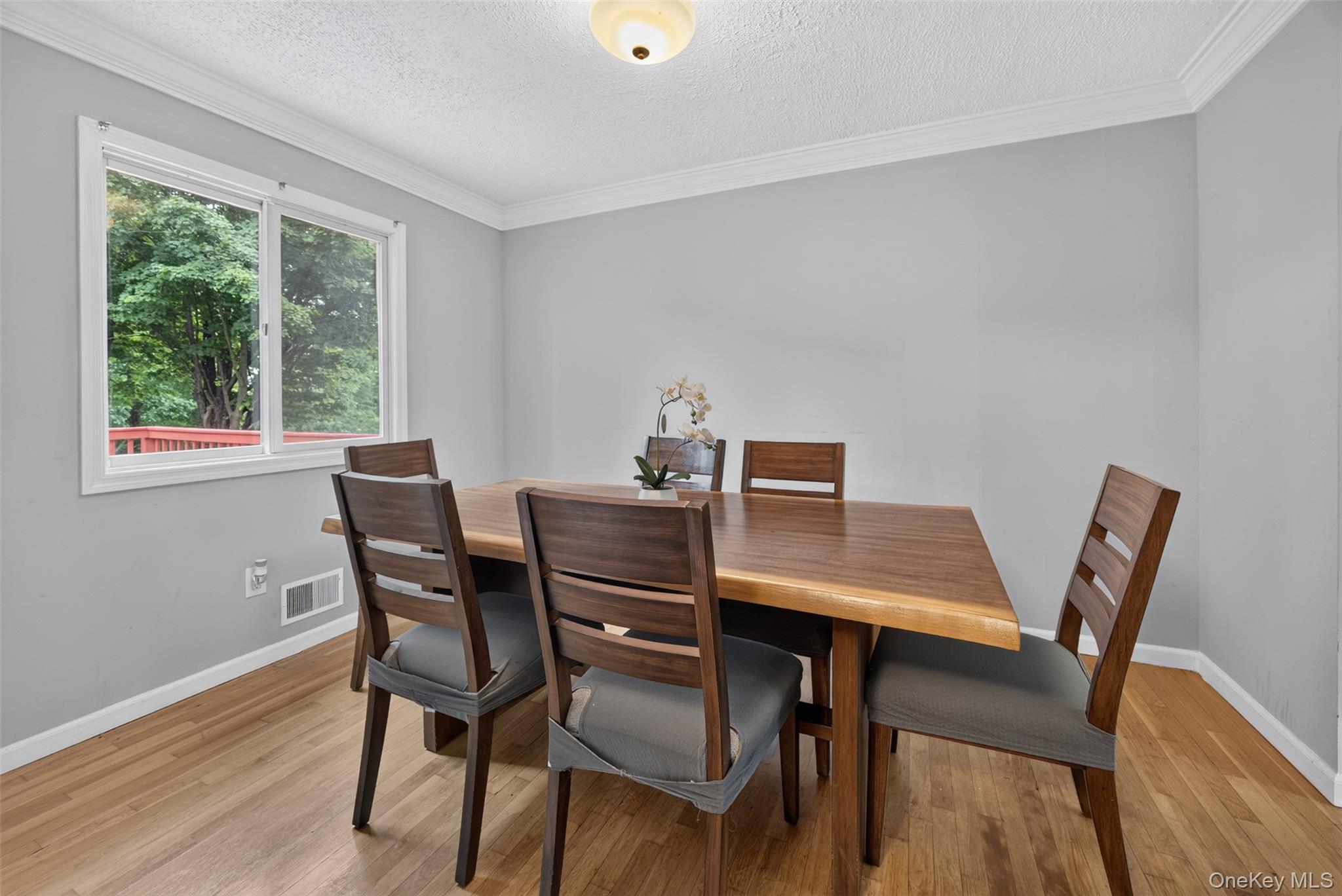 32 Surrey Road Property Photo 11