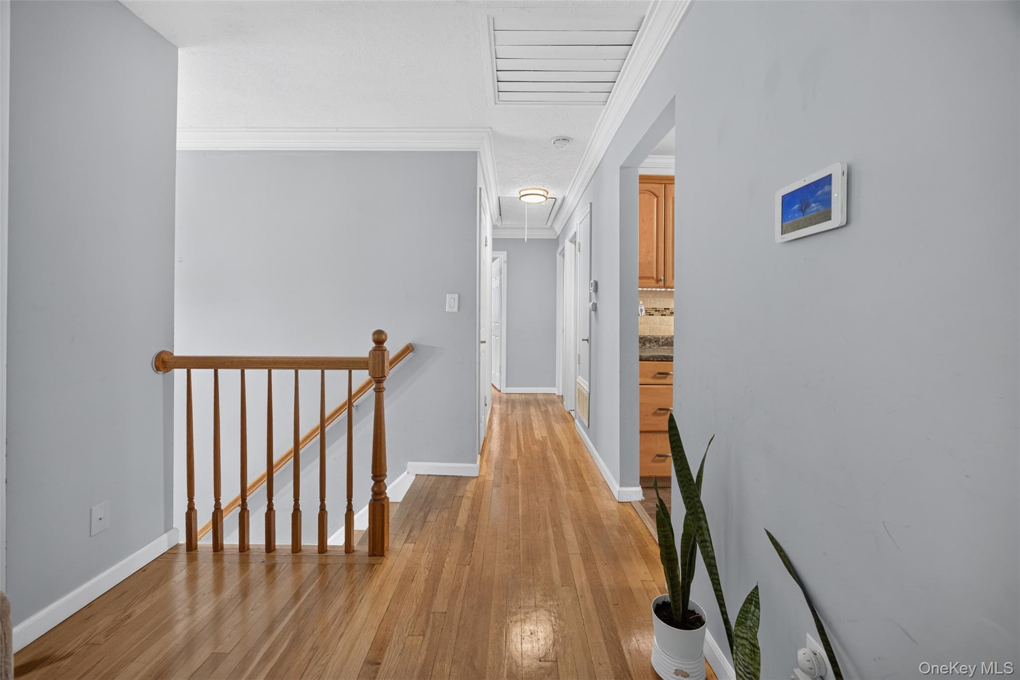 32 Surrey Road Property Photo 17