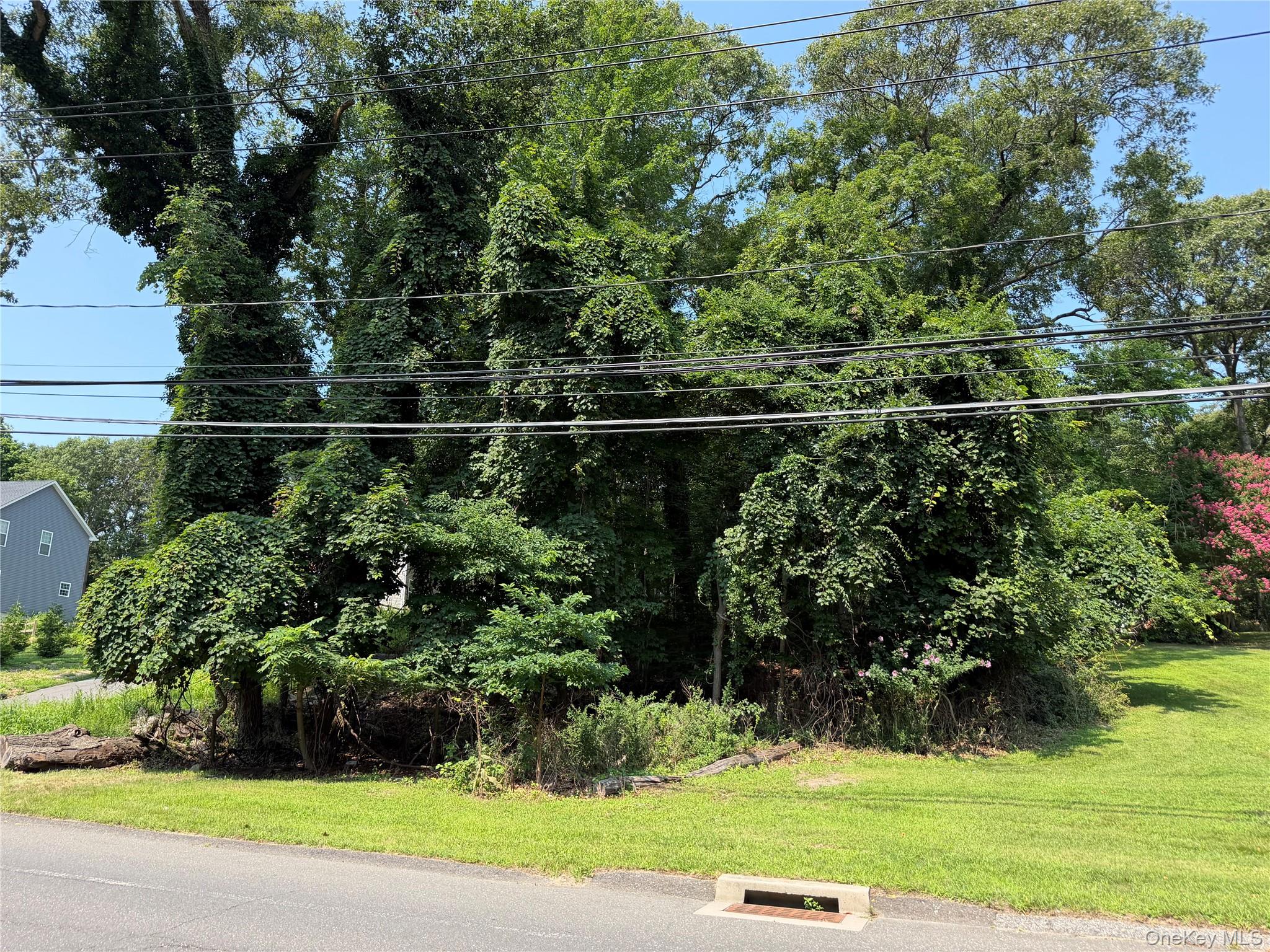 0 Hallock Landing Road Property Photo 1