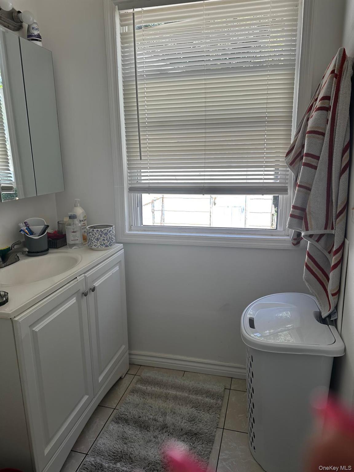 8 Lewis Street Property Photo 6