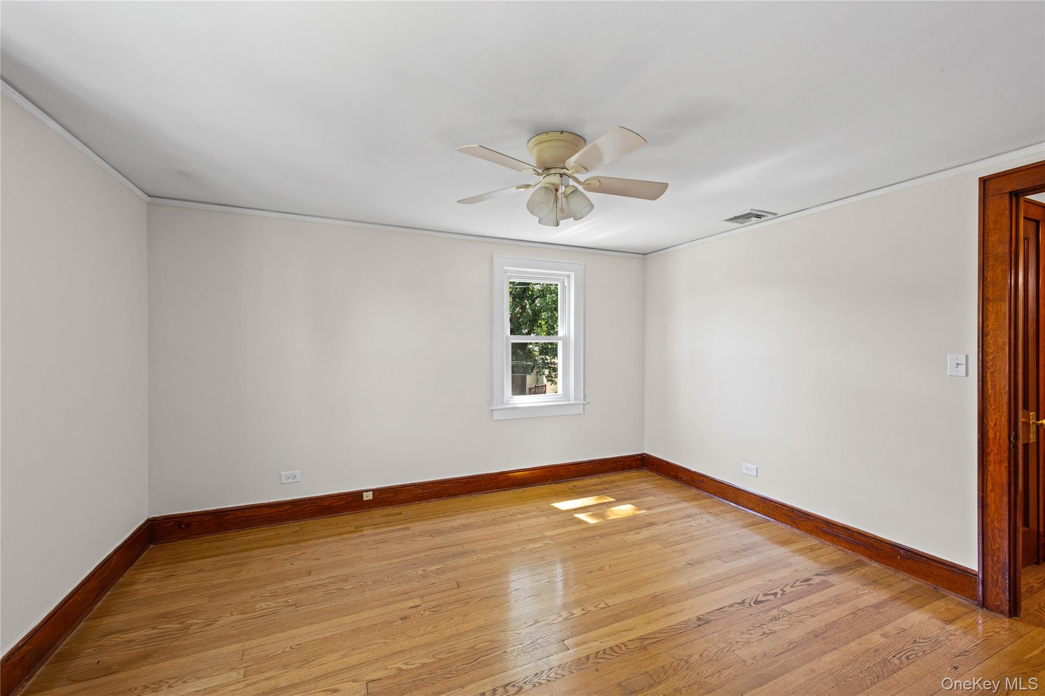 20-22 Henry Street Property Photo 12