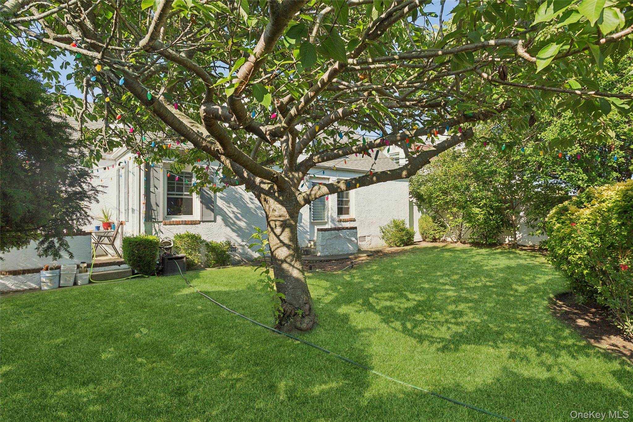 142 Cleveland Property Photo 26
