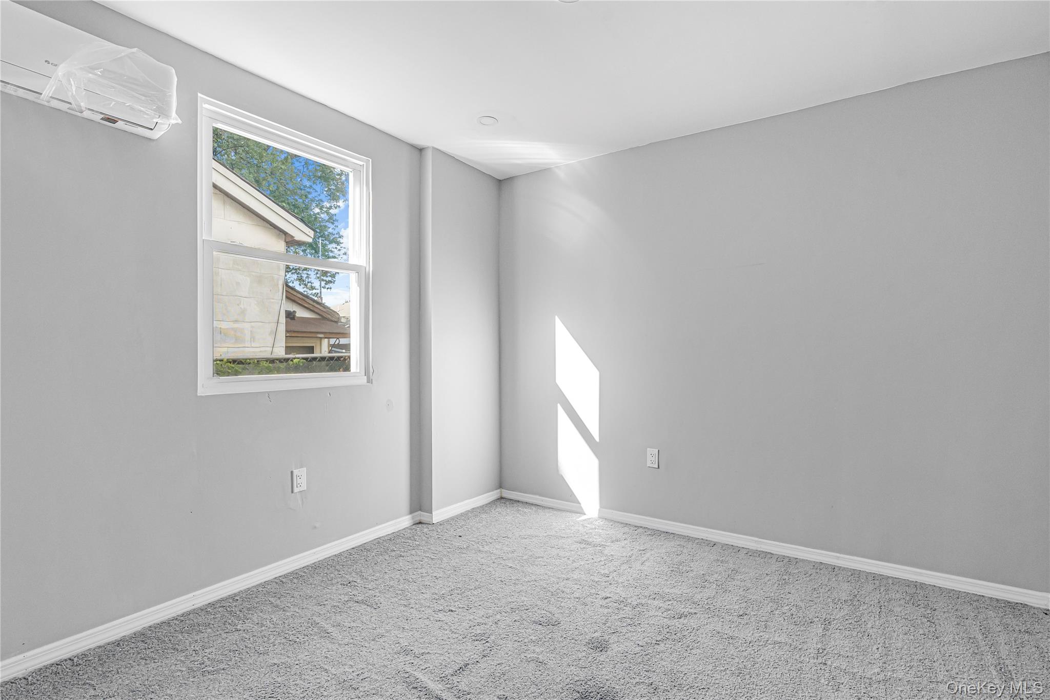 1161 E 88th Street Property Photo 10