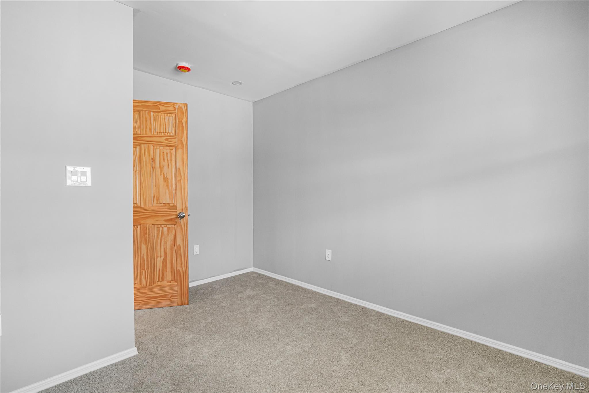 1161 E 88th Street Property Photo 16