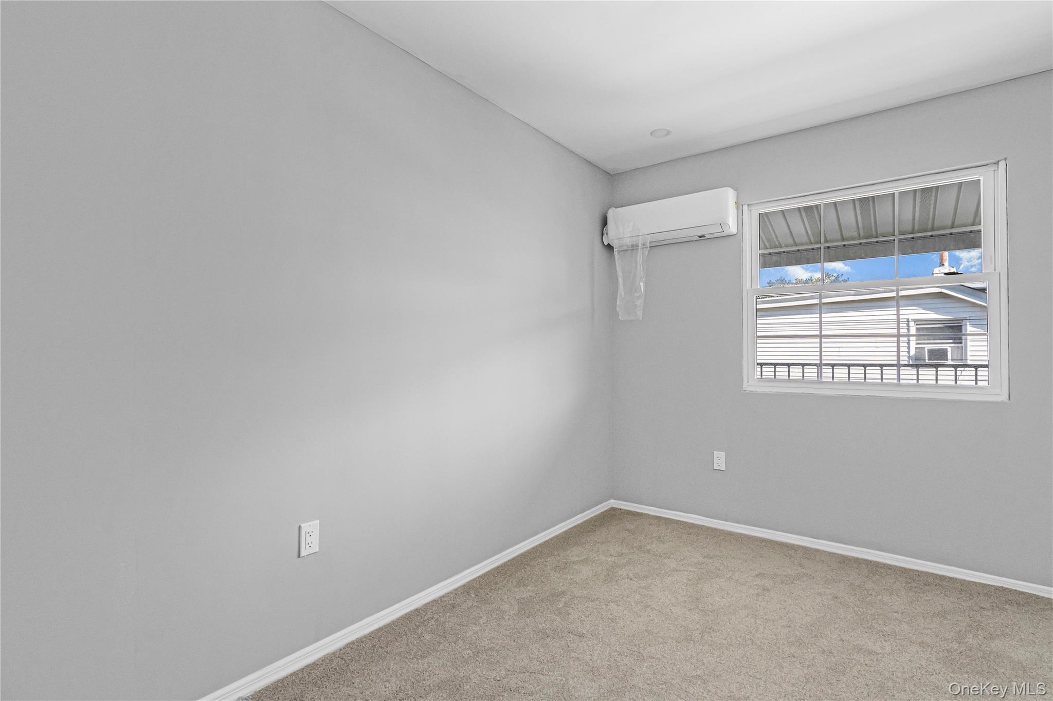 1161 E 88th Street Property Photo 17