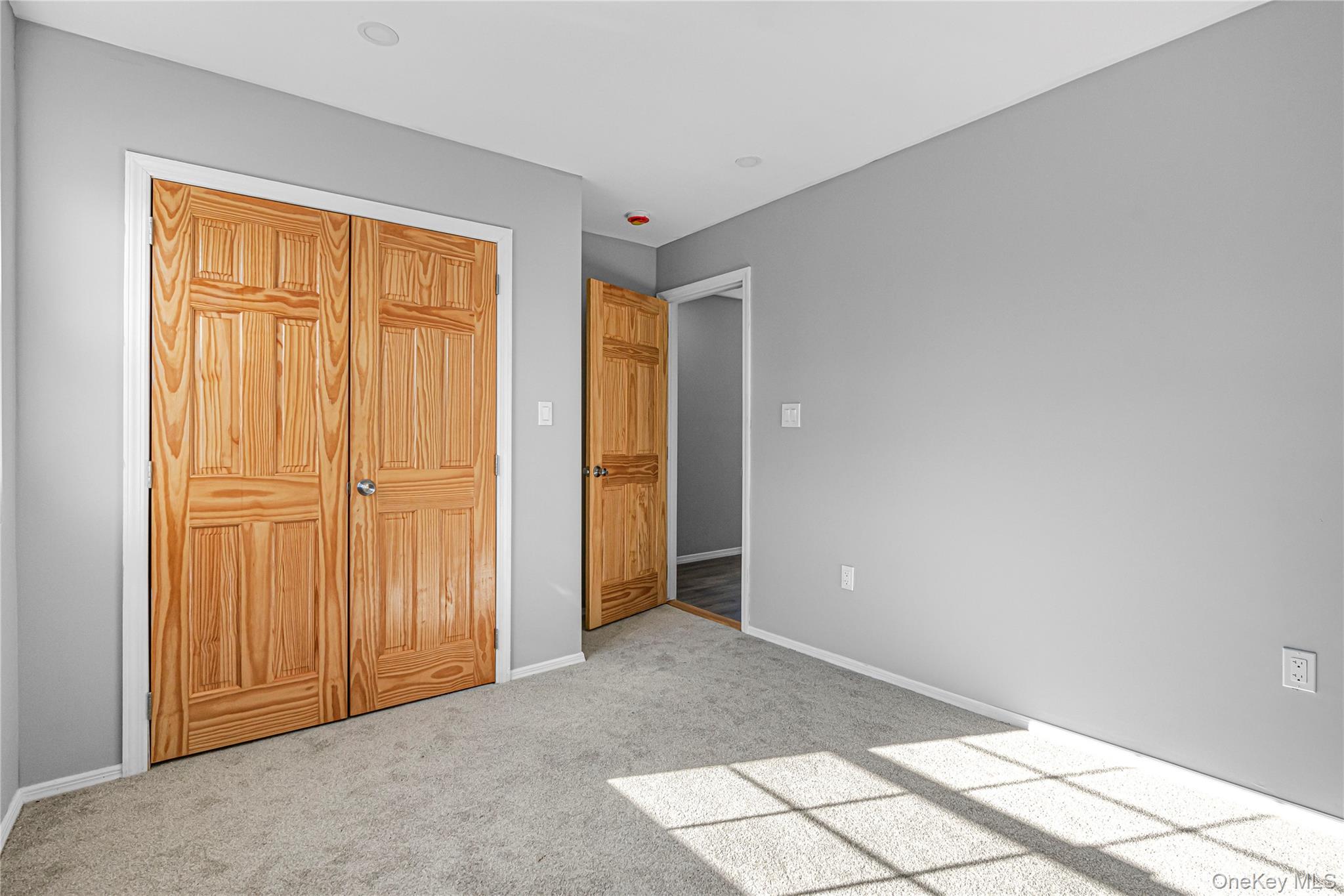 1161 E 88th Street Property Photo 18