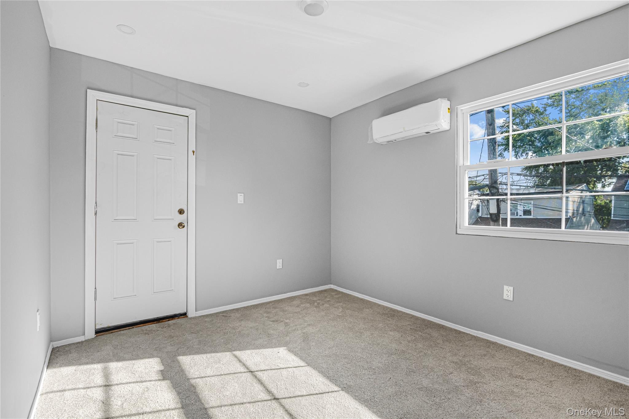 1161 E 88th Street Property Photo 19