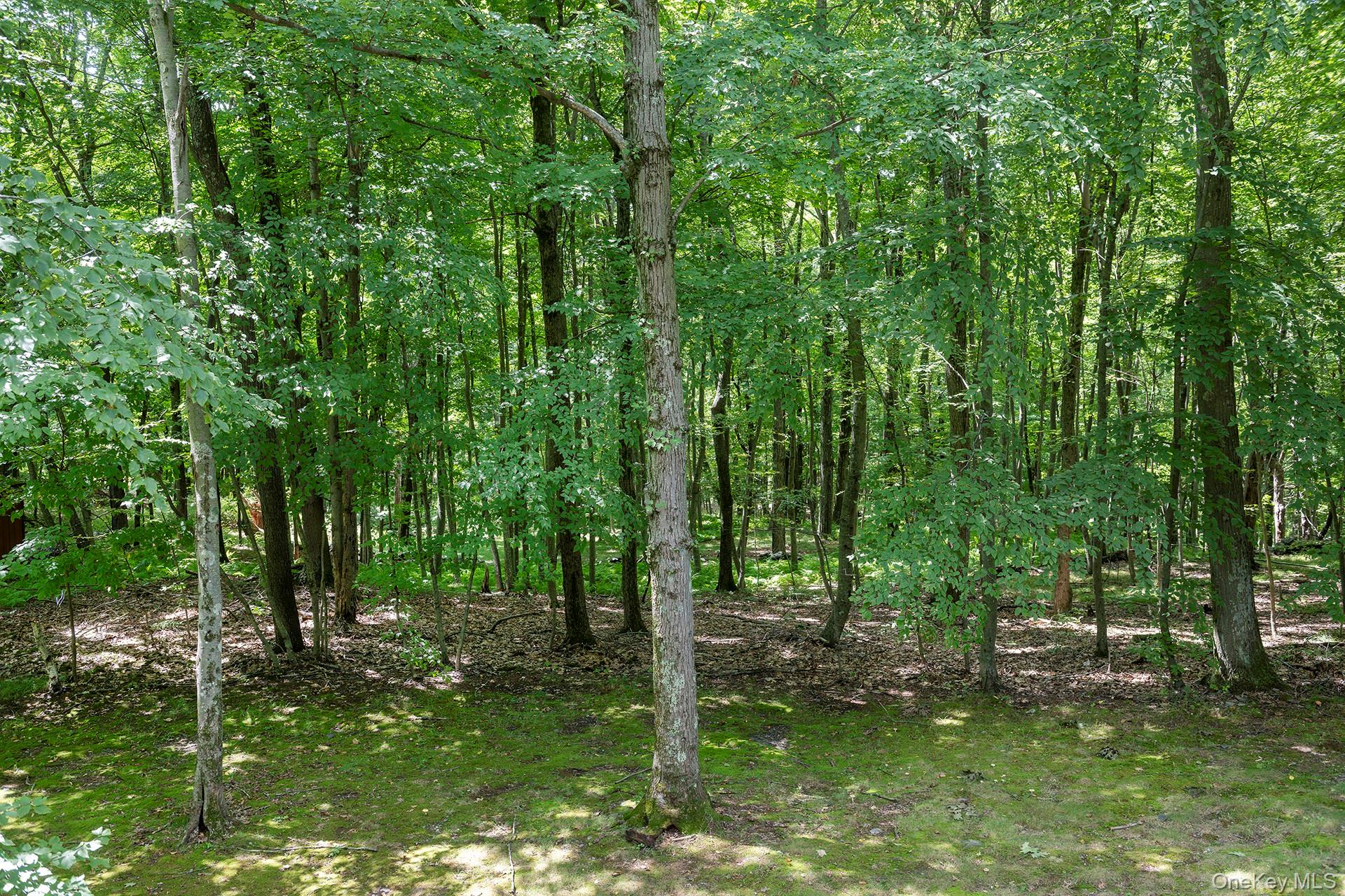 137 Old Camby Road Property Photo 34