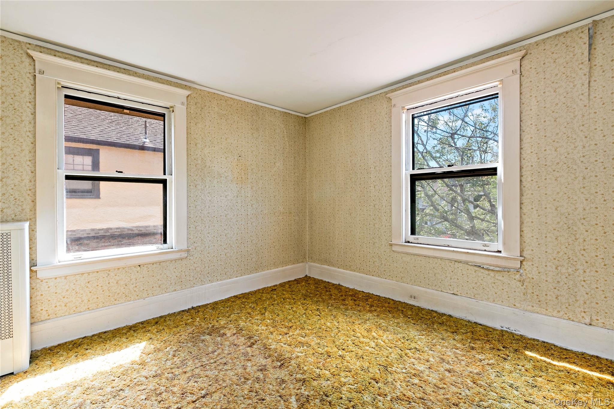 33 Melrose Avenue Property Photo 17