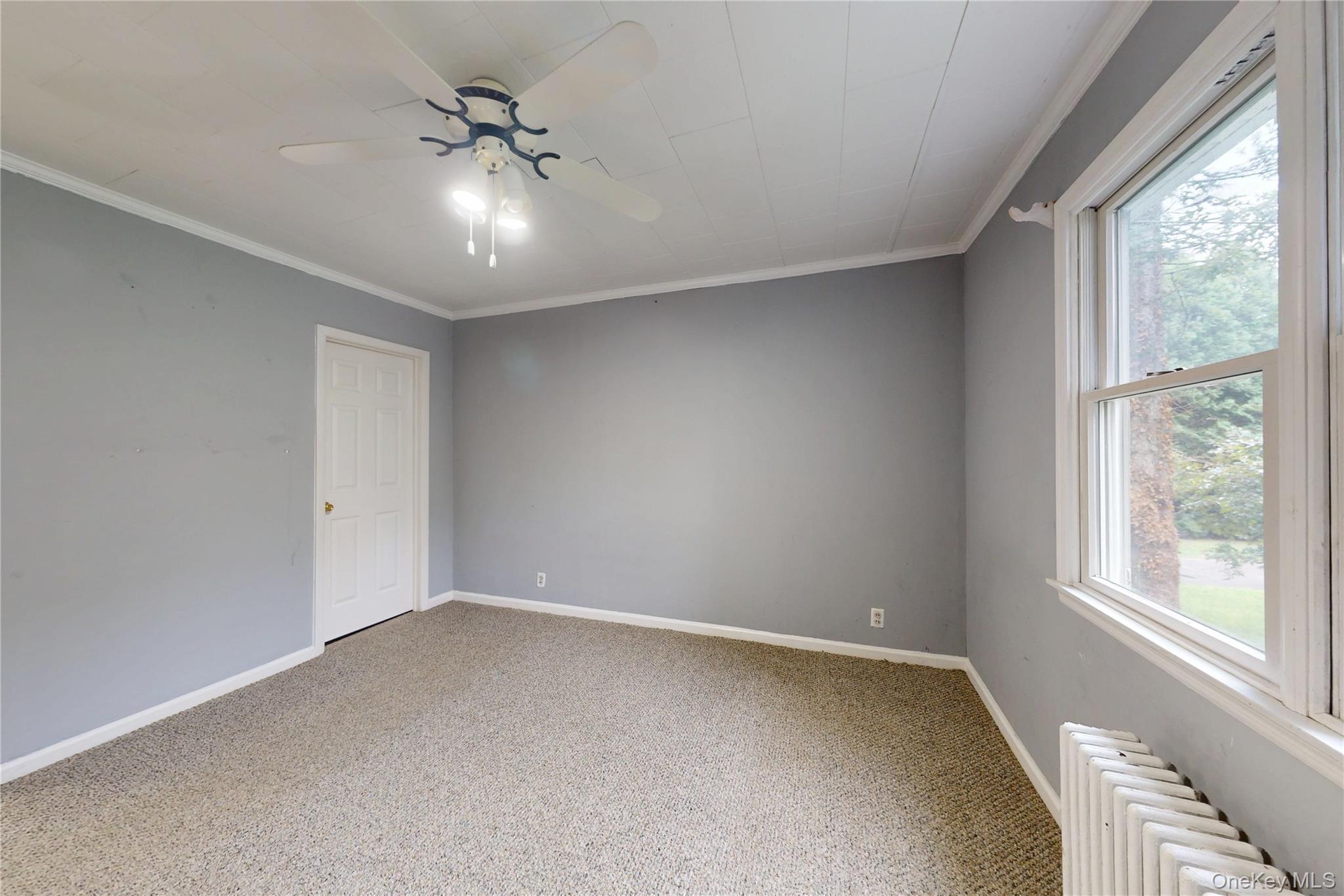 87 Daly Road Property Photo 9