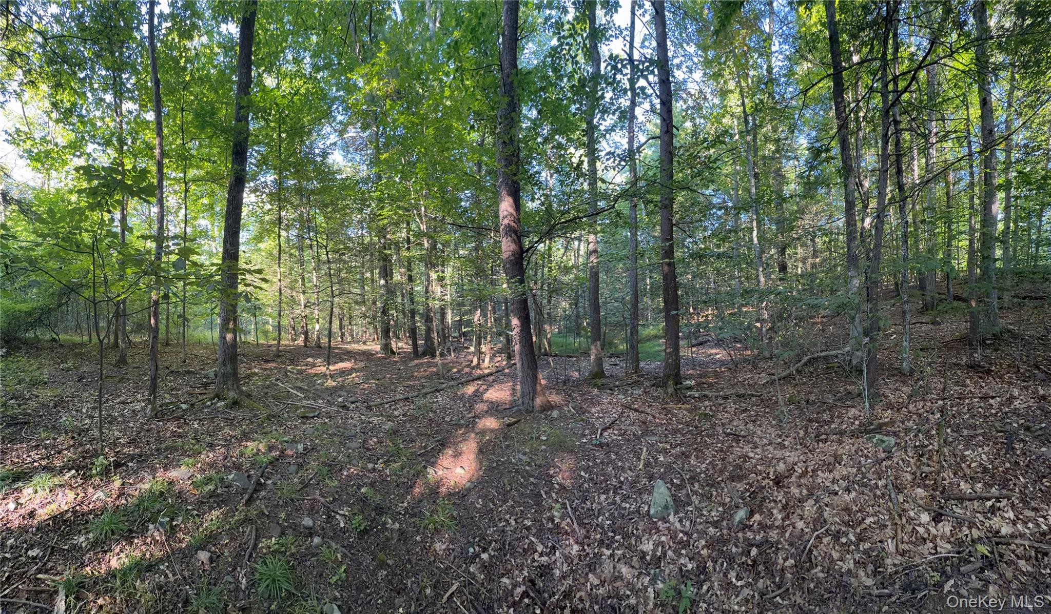 Hidden Court
