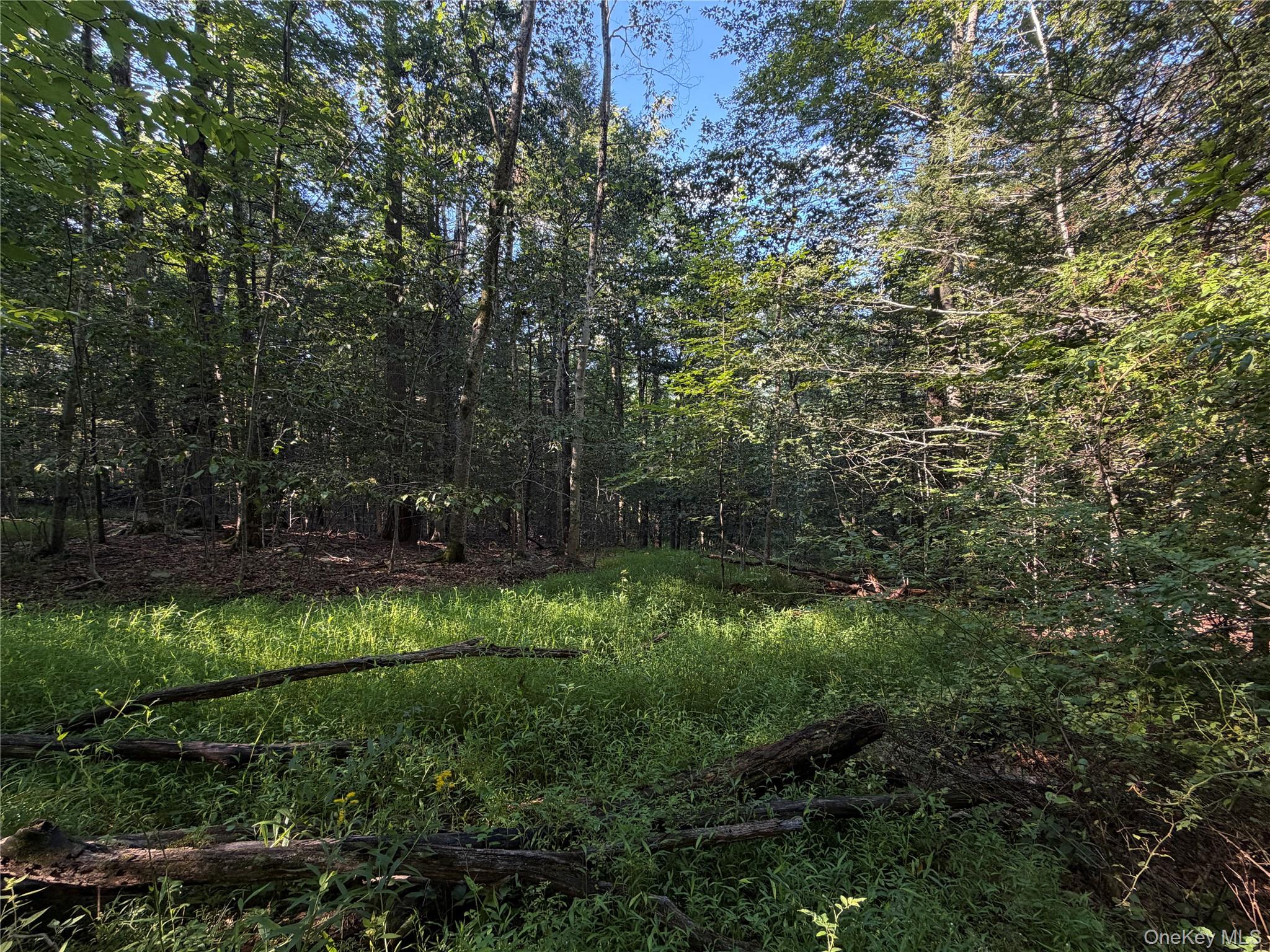 Hidden Court Property Photo 6