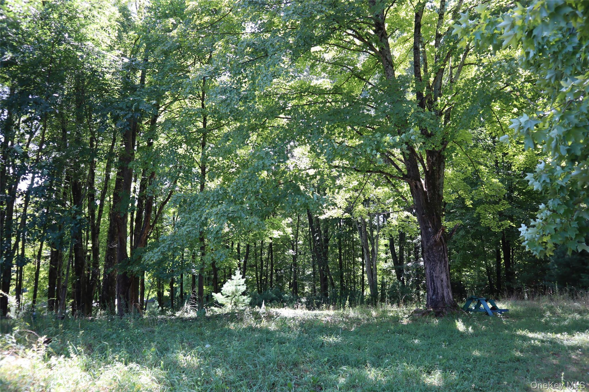 Peeble Lane Property Photo 3