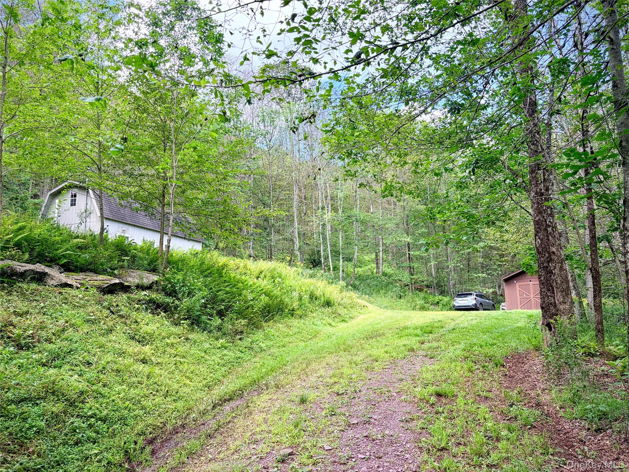 494 Doyle Road Property Photo 16