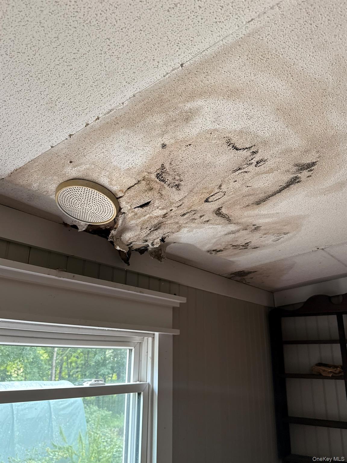 3526 Route 199 Property Photo 13