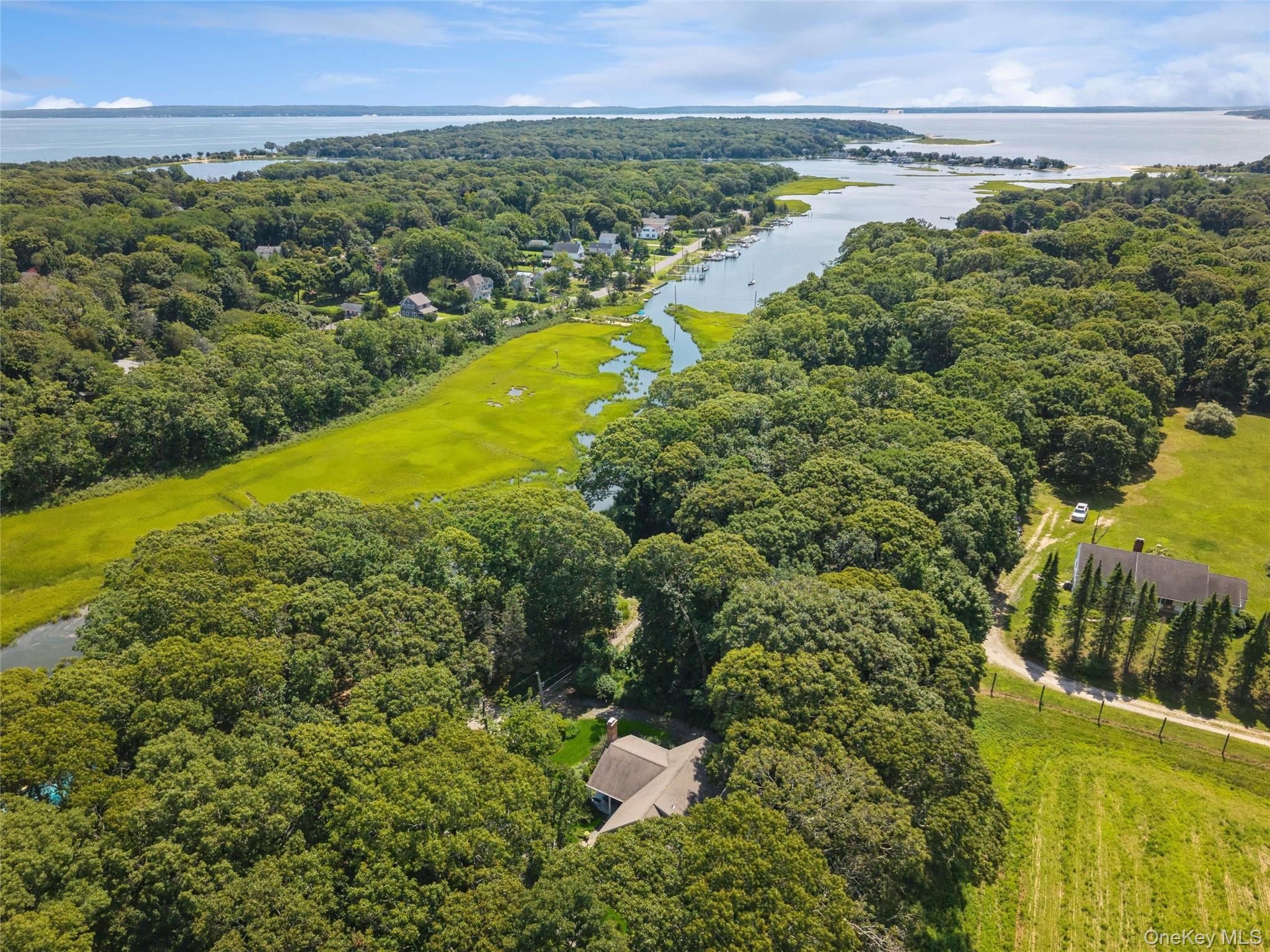 1020 Monsell Lane Property Photo 40