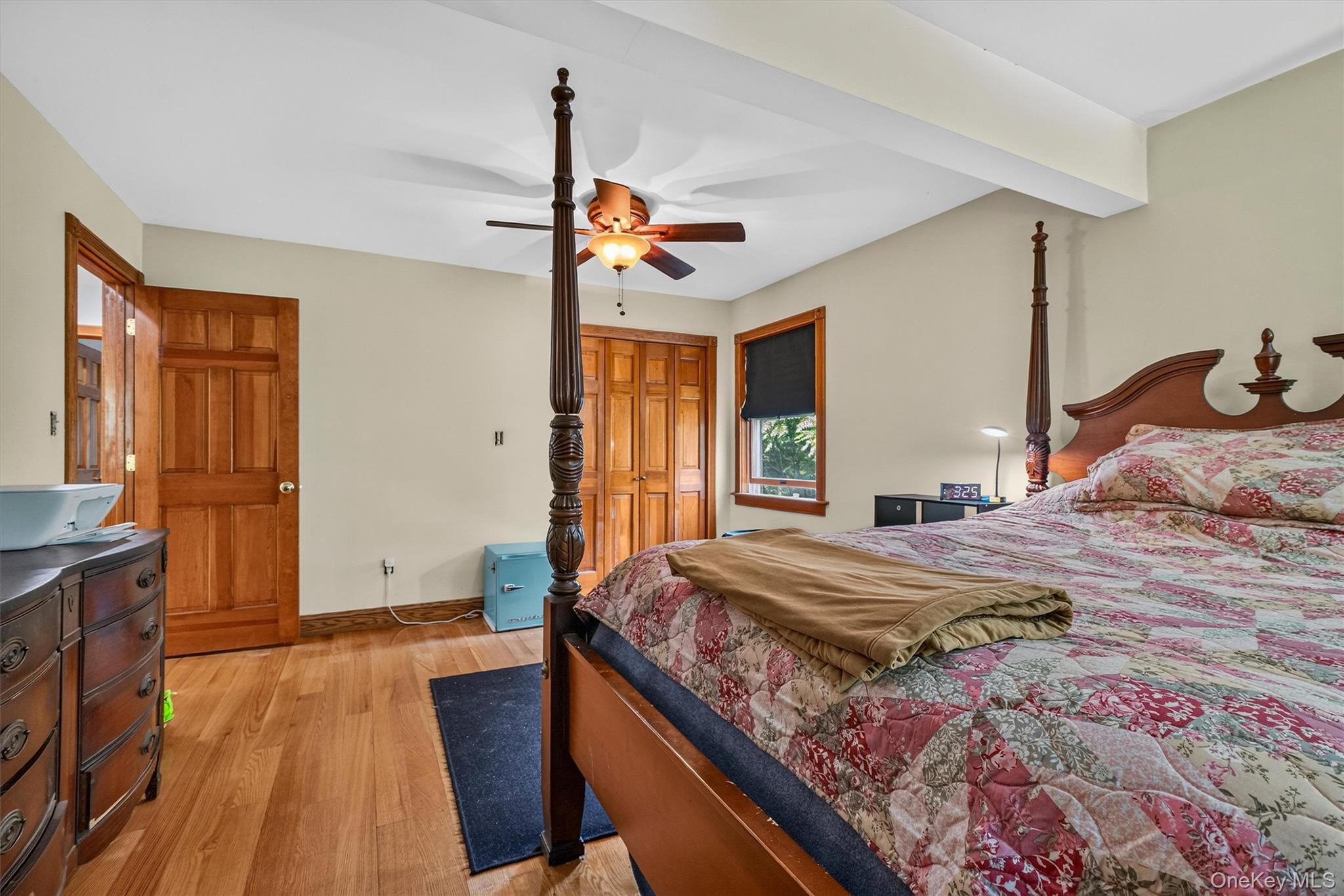 65 Oxford Springs Road Property Photo 19