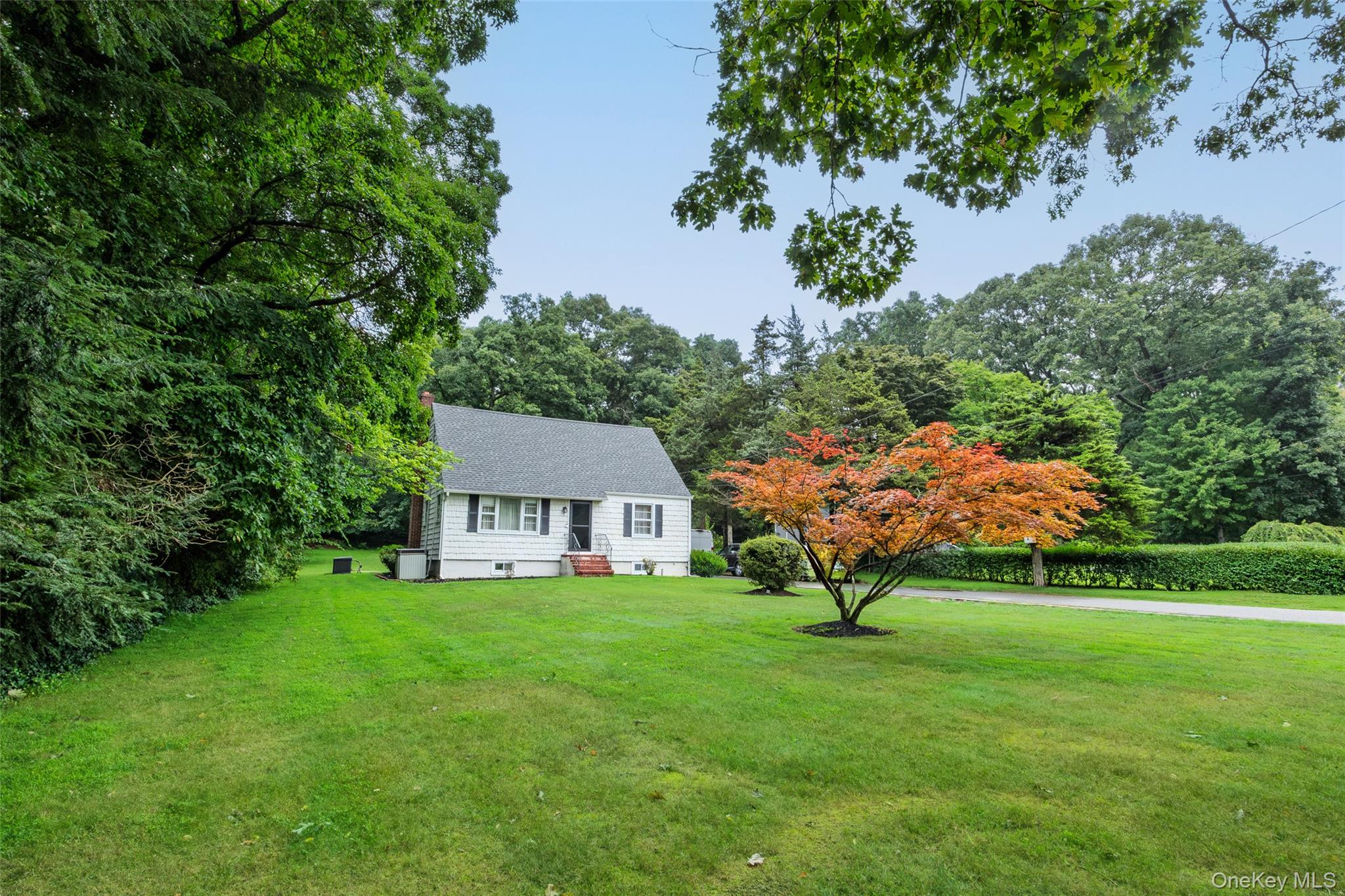 99 Warner Road Property Photo 6