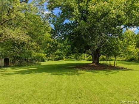 398 Scotchtown Road Property Photo 19