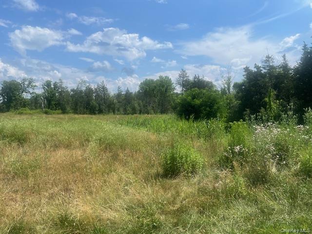 35 Pulcher Avenue Property Photo 4