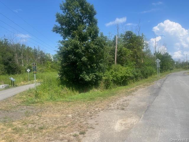 Pulcher Property Photo 4
