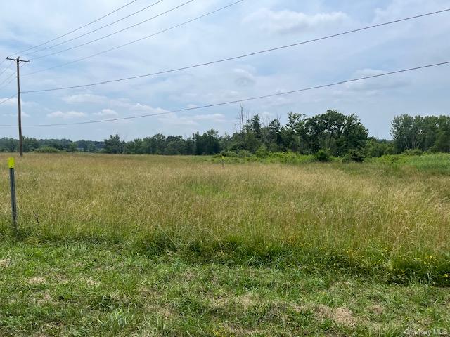 Pulcher Avenue Property Photo 2