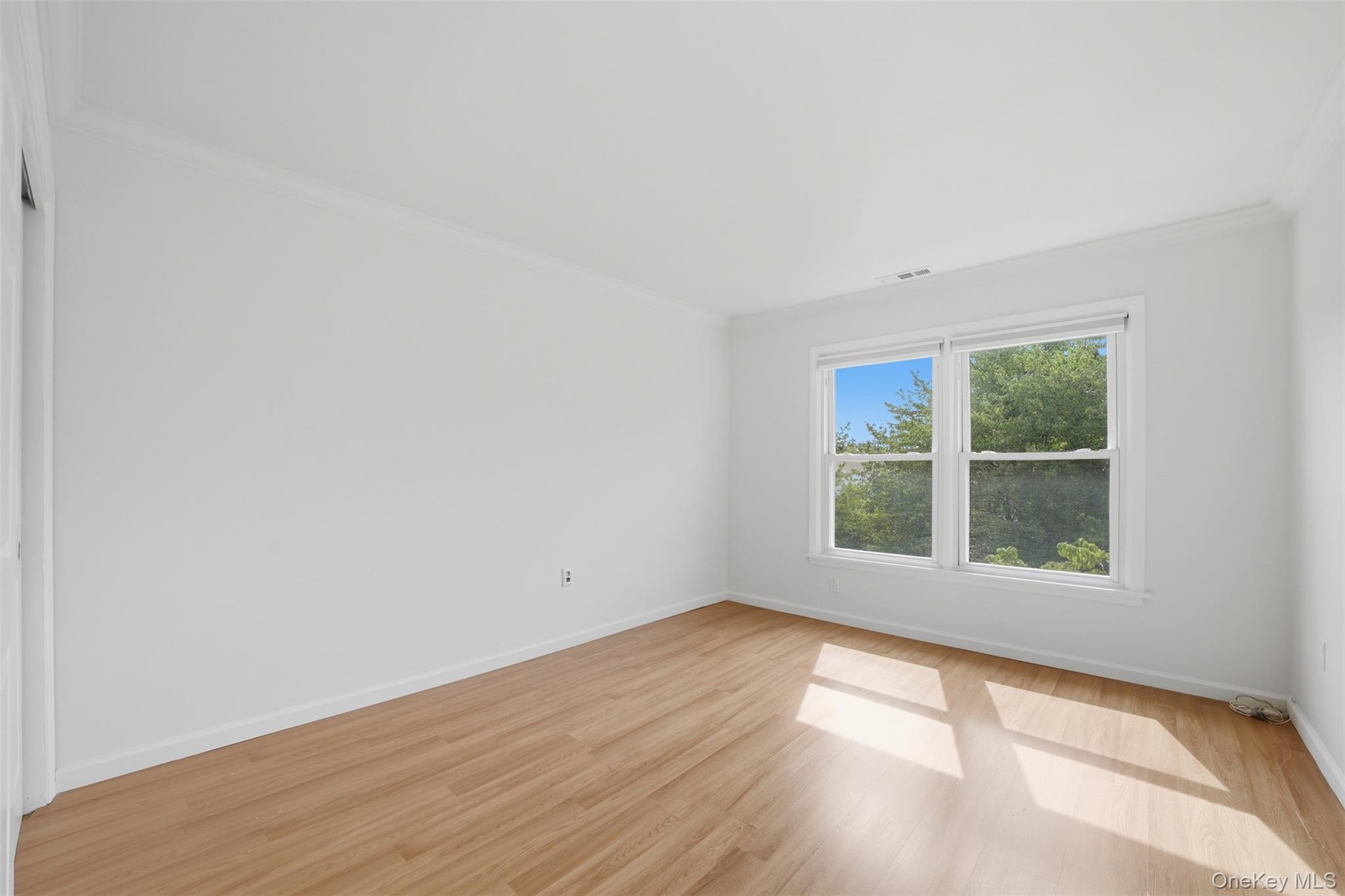 149 Fenimore Road B2 Property Photo 17