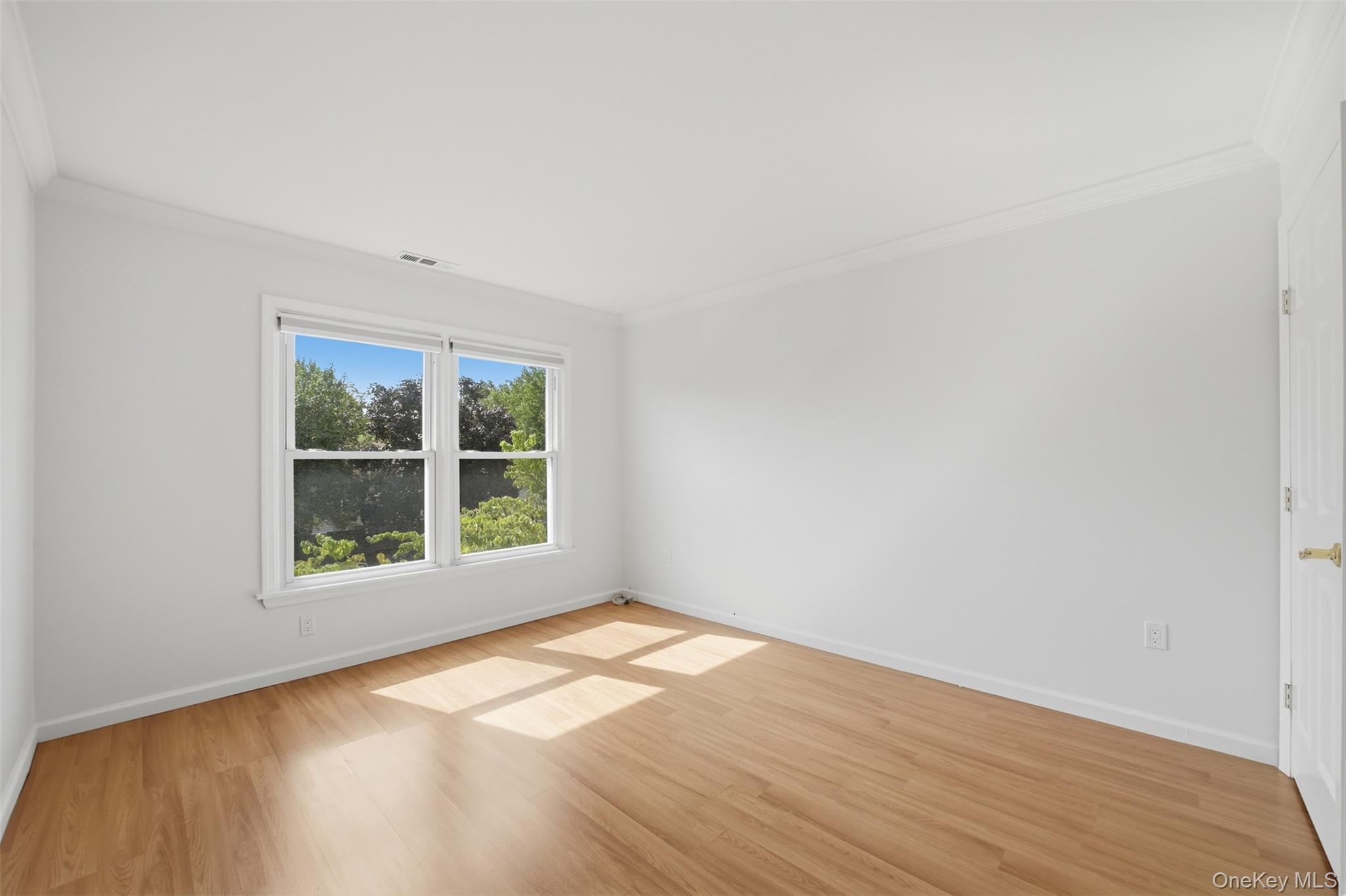 149 Fenimore Road B2 Property Photo 18