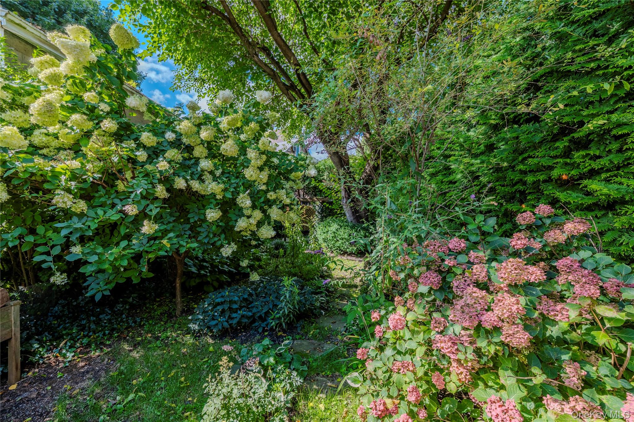 13 Kemble Avenue Property Photo 26