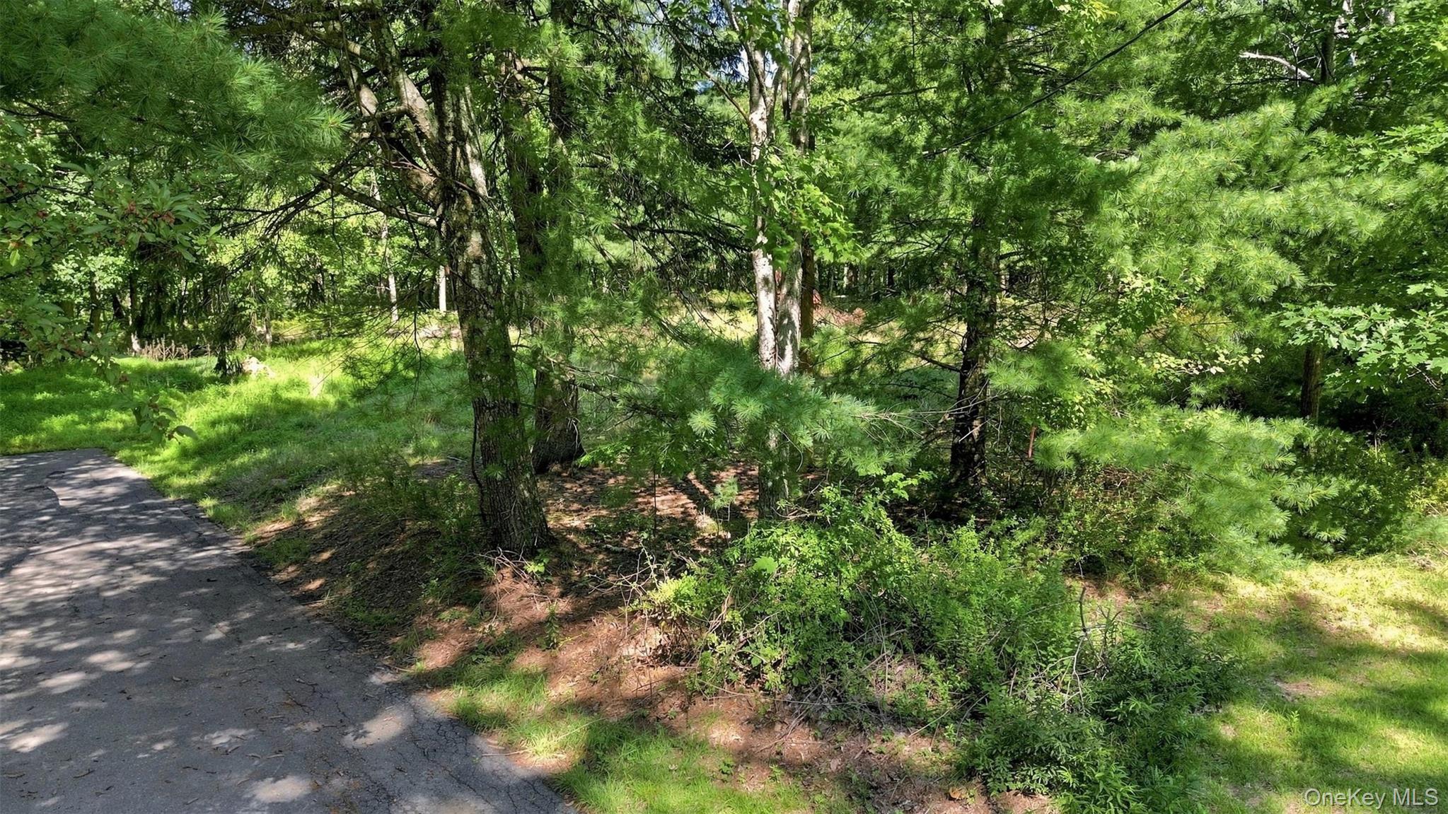 36 Spruce Street Property Photo 1