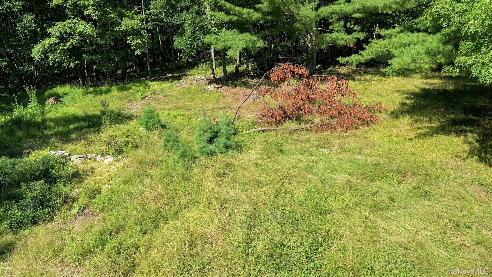 36 Spruce Street Property Photo 11