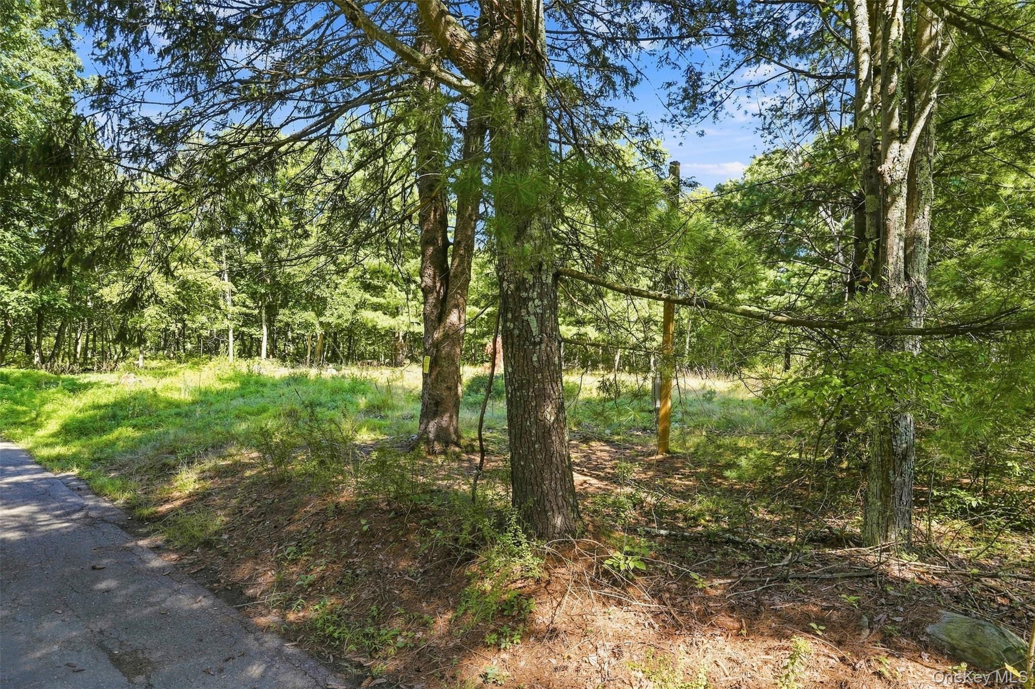 36 Spruce Street Property Photo 16