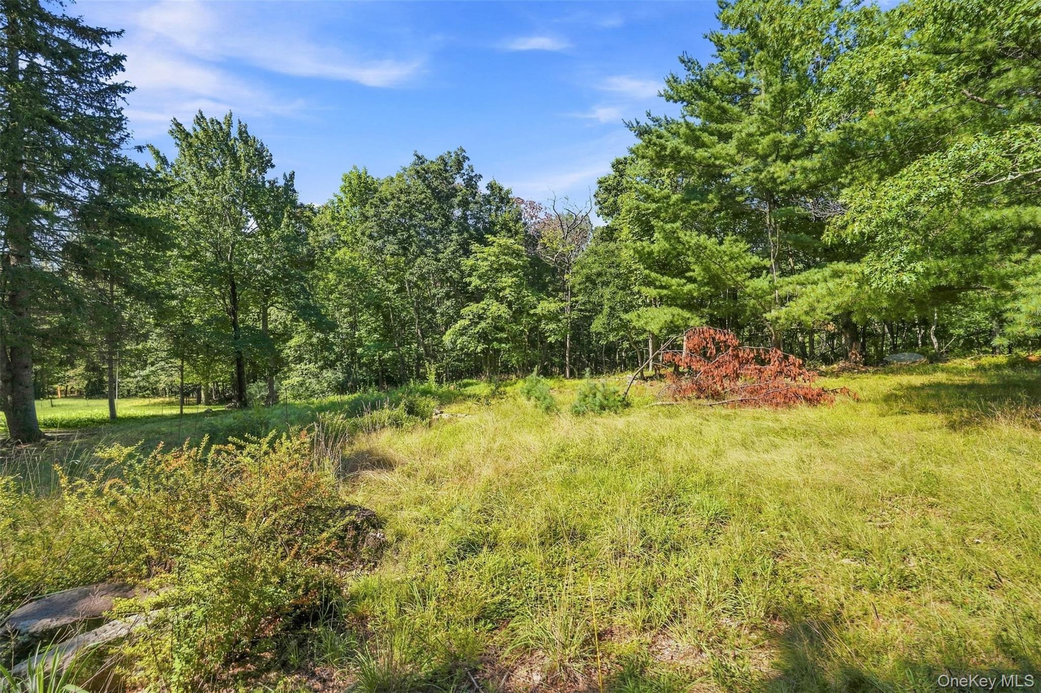 36 Spruce Street Property Photo 19