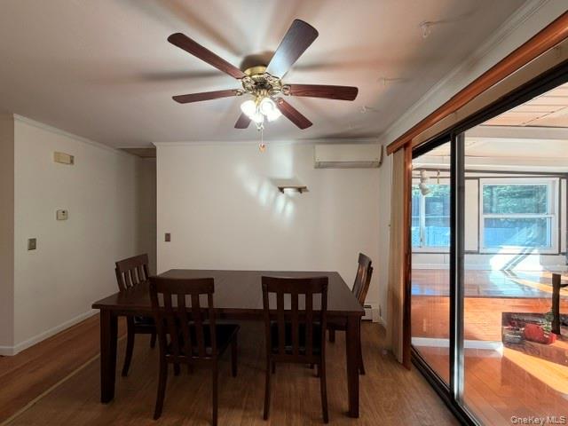 3 Elm Street Property Photo 7