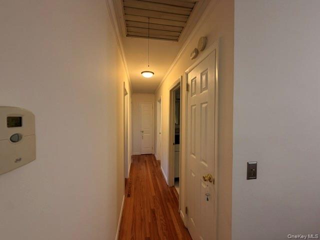 3 Elm Street Property Photo 11