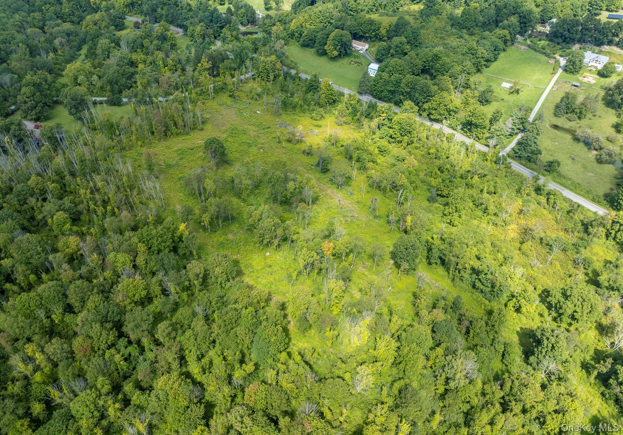 Camby Road Property Photo 6