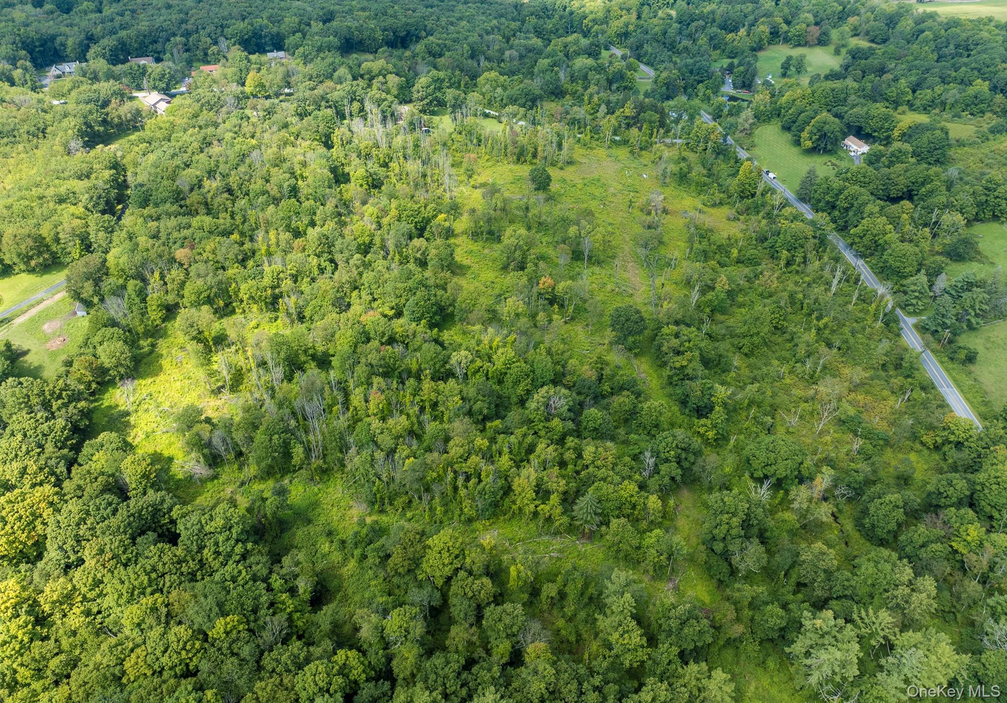 Camby Road Property Photo 7