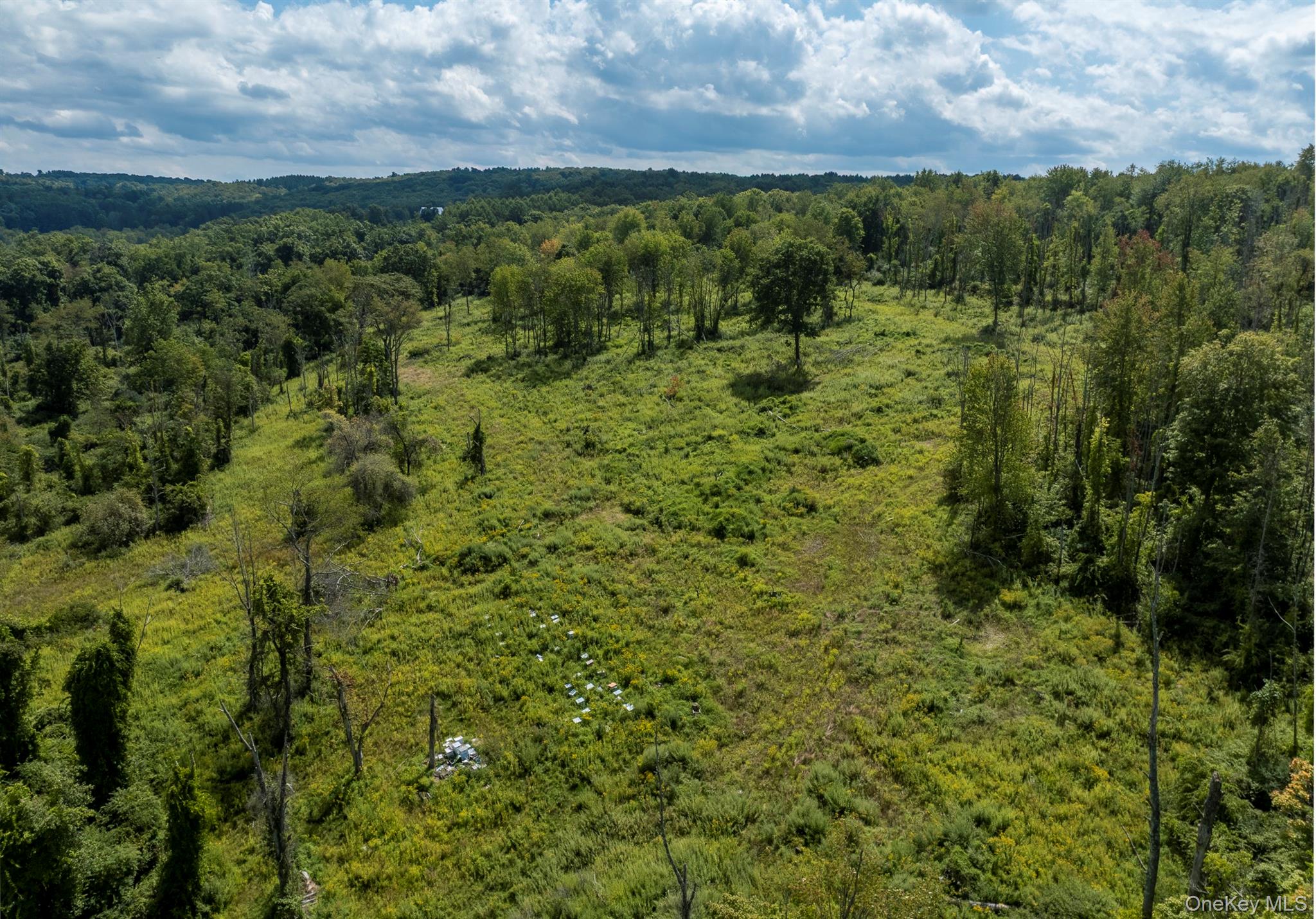 Camby Road Property Photo 14